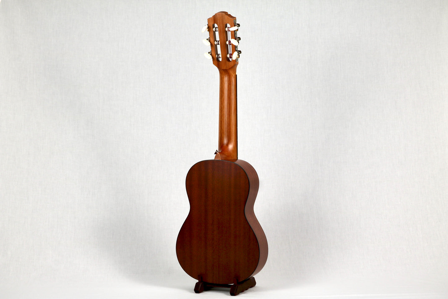 Bonsai Ventura Natural (BV01)
