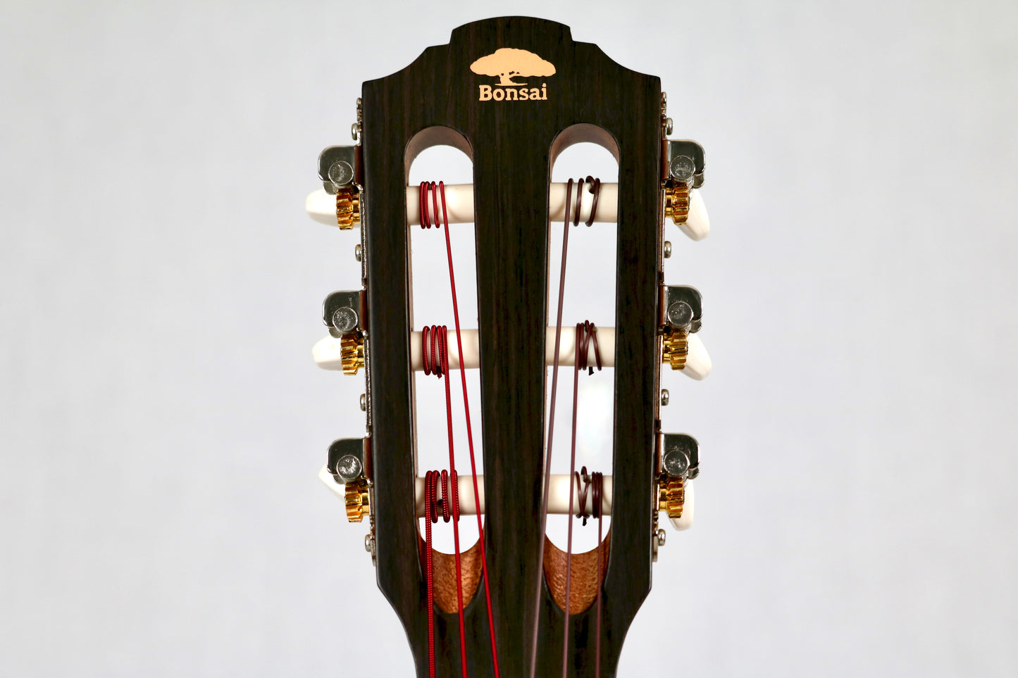 Bonsai Ventura Natural (BV01)