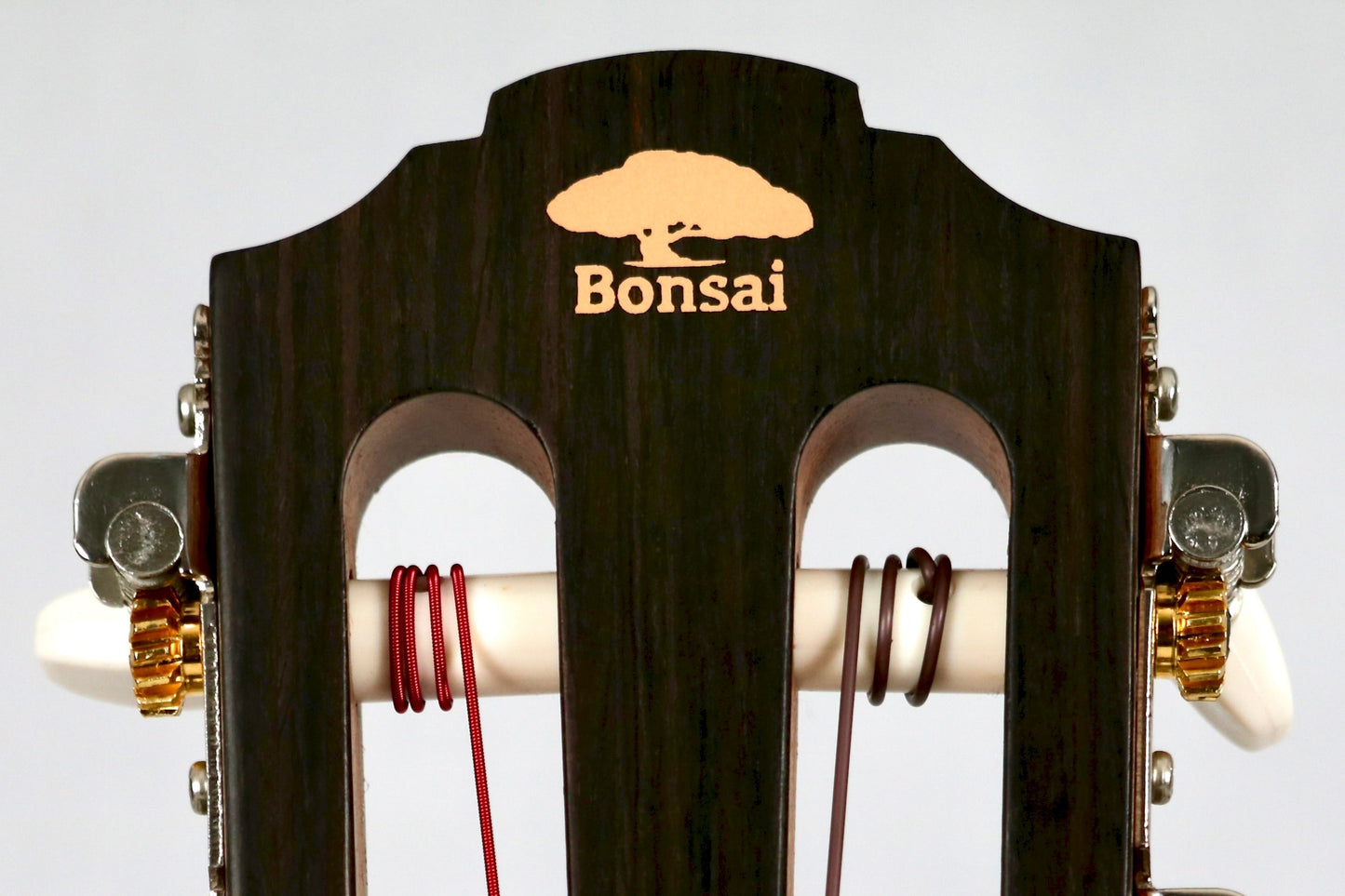 Bonsai Ventura Natural + Pickup (BV01P)