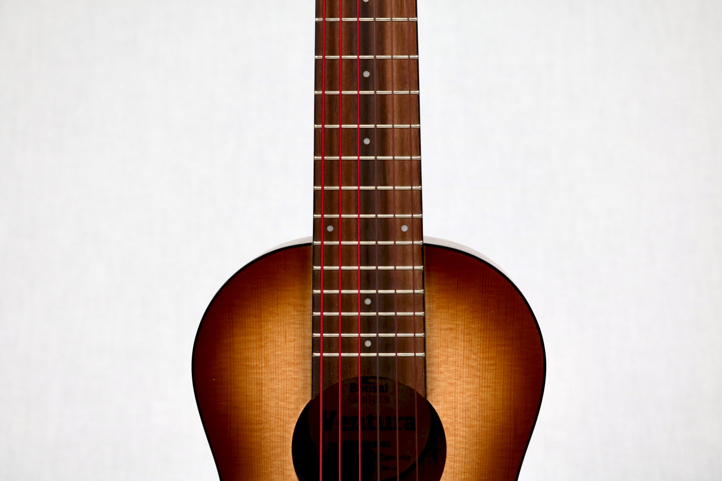 Bonsai Ventura Sunburst (BV02)
