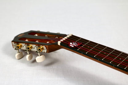 Bonsai Ventura Sunburst + Pickup (BV02P)