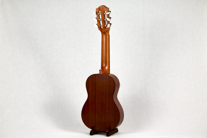 Bonsai Ventura Natural (BV01)