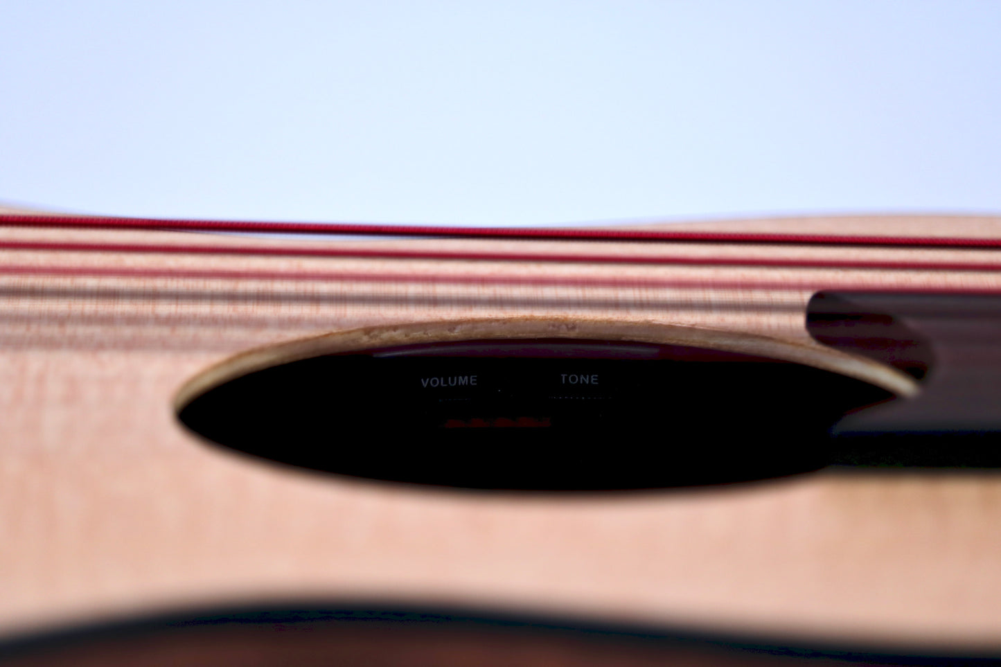 Bonsai Ventura Natural + Pickup (BV01P)