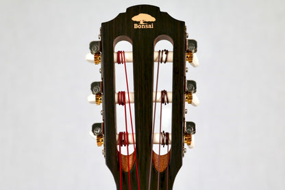 Bonsai Ventura Natural (BV01)