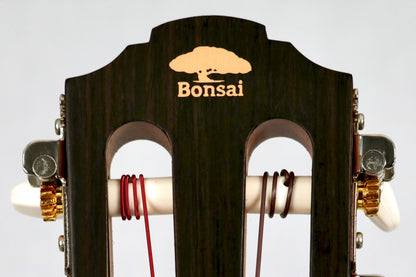 Bonsai Ventura Natural + Pickup (BV01P)