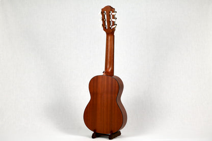 Bonsai Ventura Sunburst + Pickup (BV02P)