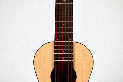 Bonsai Ventura Natural (BV01)