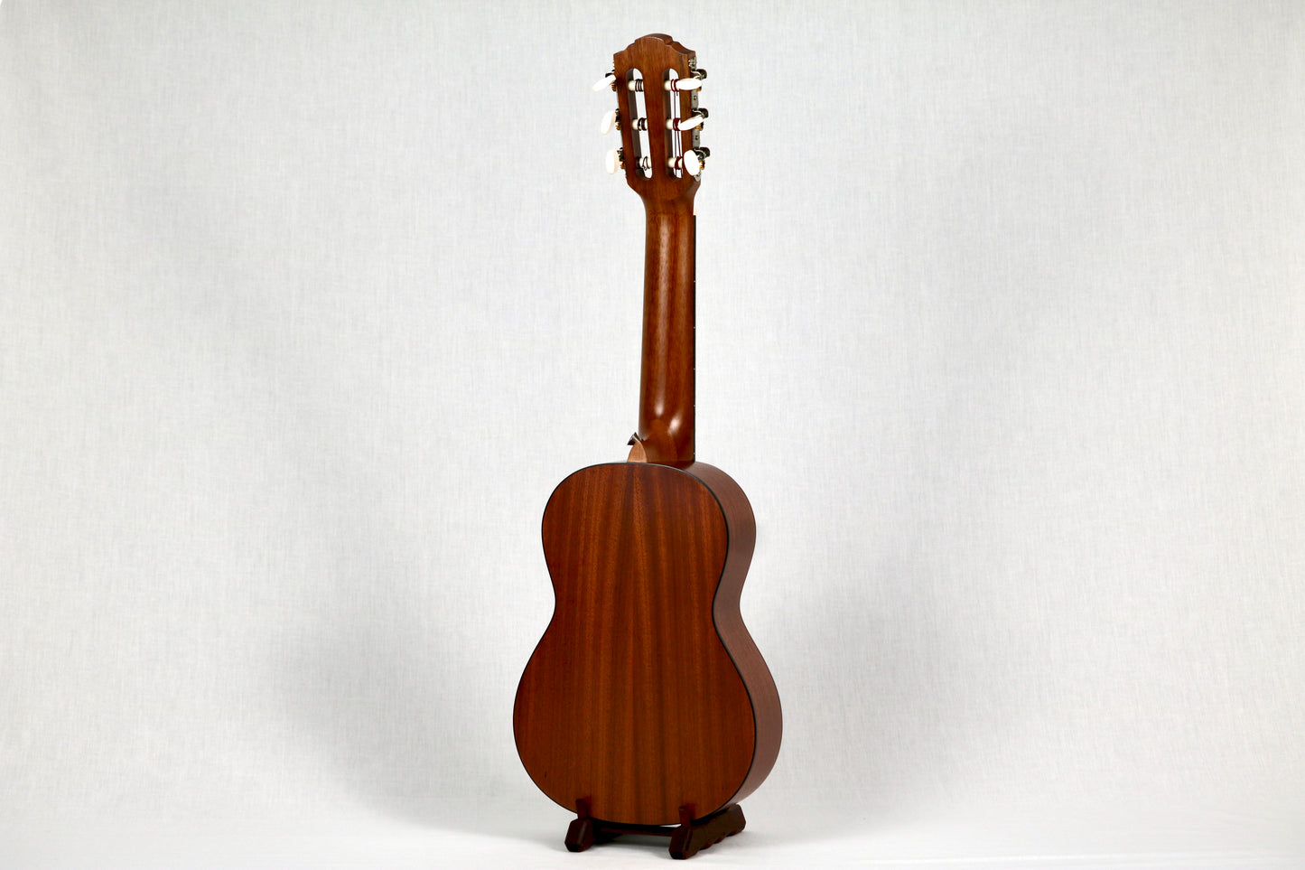 Bonsai Ventura Sunburst (BV02)