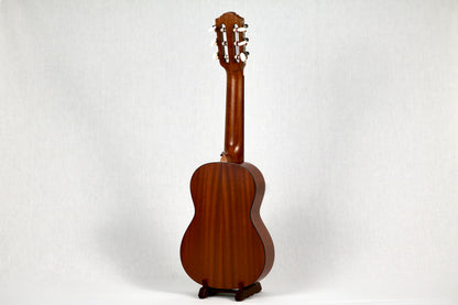 Bonsai Ventura Sunburst (BV02)