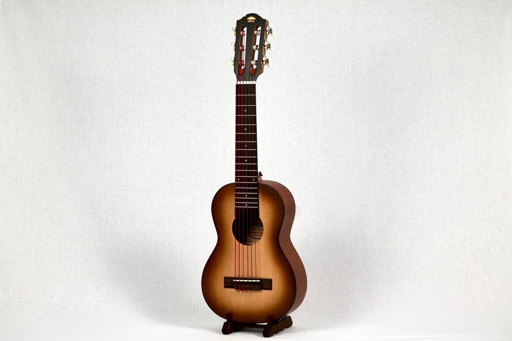 Ventura BV02P studio photo