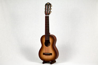 Bonsai Ventura Sunburst + Pickup (BV02P)